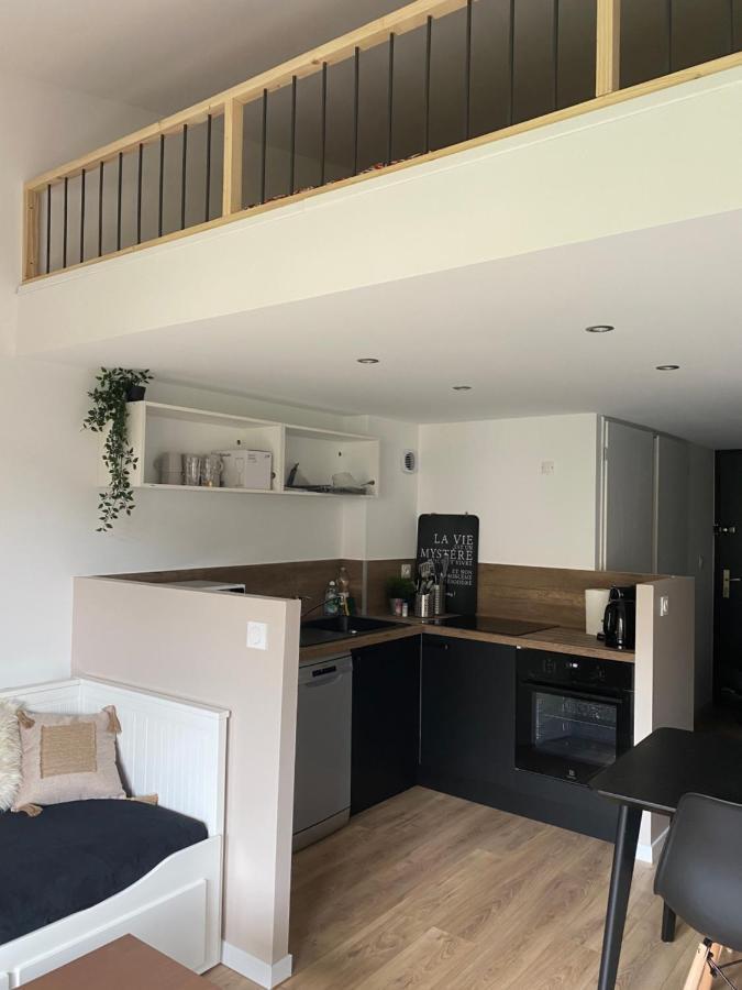 Appartement Cosy, Pied De Pistes - Les Deux Alpes Eksteriør bilde